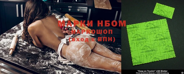 гидра Новокубанск