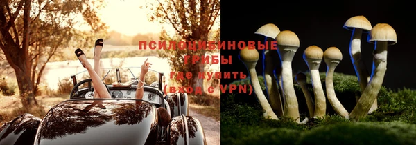 марки nbome Новозыбков