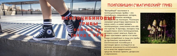 экстази Новодвинск