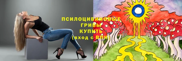 экстази Новодвинск