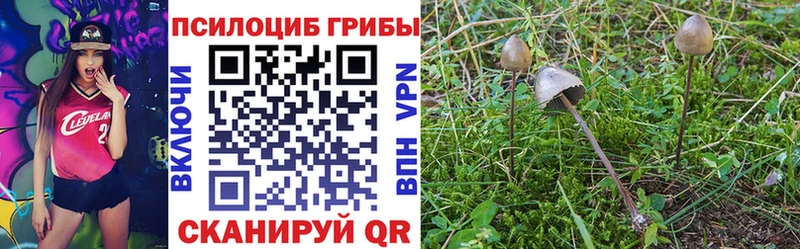 Галлюциногенные грибы Psilocybine cubensis  Электроугли 