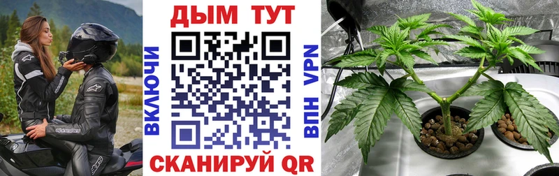 Бошки марихуана AK-47  Электроугли 
